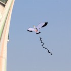 Seagull Kite Single Line Kites Fun With Flying Tools Giant For Park Sport Toy