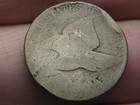 1856-1858 Flying Eagle Penny One Cent