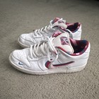 Nike Sb Dunk Low Parra Size 10