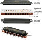 Easttop Diatonic Blues Harmonica Key Of Paddy A c g 10hole Harp Mouth Organ Gift