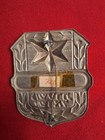Israelite Police Badge Plaque Numbered