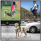 Service Dog Harness Green Small  includes Patches 