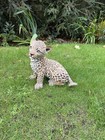 Country Artists  young   Bewitching Leopard Cub  Figurine 03264 29cm