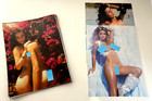 Lot Of 101 Different Vintage Playboy Magazine Full Page Photos Only- No Doubles