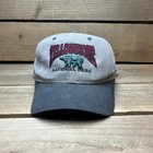 Vintage Yellowstone National Park Preserve   Protect Brown Strapback Outdoor Hat
