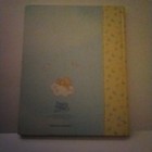 Precious Moments  A Baby s First Years