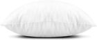 Throw Pillow Inserts  Set Of 2 Lightweight Down Alternative Polyester Pillow