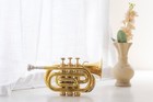 Pocket Trumpet Bb Brass W free-hard Case And Mouthpiece 