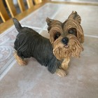    realistic Yorkshire Terrier Dog Figurine Lot Of 3 - Highly Detailed Yorkie Set