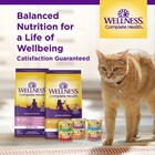 Complete Adult Dry Cat Food For Indoor And Outdoor Cats