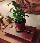Vintage Walnut Wood Handmade Plant Stand Adorned Blue Diamond Inlays Translucent