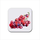 Summer Fruit Beverage Drink Kitchen Bar Coasters Rubber Neoprene Set Of 6