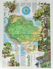 1992 National Geographic Amazonia Amazon Rainforest South America Double Map