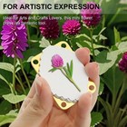Micro Flower Press Mini Press Microwave Metal Flower Kit With 20 Reusable Specim