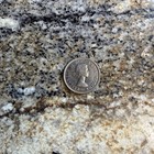 Rare   Canada 1964 5 Cents