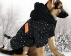 Dog Coats Boy Girl Acket Hoodie Small Puppy Pet Warm Fleece Clothes For Winter