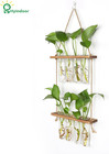 Wall Hanging Glass Plant Propagation Station Wood Stand Test Tube Vase 8 Tubes X