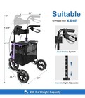 Walk Mate 3 Wheel Rollator Walker With Seat For Seniors  Padded Backrest