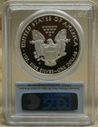 2010 W  1 Pcgs Pr69 Dcam First Strike Silver Eagle Proof White Spots And Toning