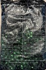  50 Caliber Green Paintballs 500 Count   50 Caliber Model  301-600 Pieces 