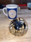 Scorpion Paperweight Bug Collector Stinger Gift Usa Made Taxidermist Taxidermy