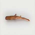 Beautiful Whale Made Of Natural Wood Natural Beauty Very Rare Find