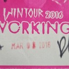 Fall Out Boy Wintour 2016 Working Laminate Concert Pass Rock   Pop Memorabilia