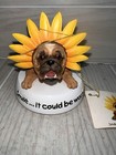 Zelda Wisdom Sunflower Bulldog Figurine Smile It Could Be Worse