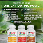 Hormex Rooting Powder  3  8  16 Pack - Easy To Difficult To Root Woody Plants