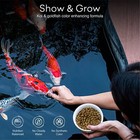 Floating Koi Fish Food - Fast Free Shipping    Made In Usa    Super Sale   