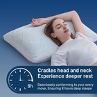 Lyralith King Shredded Memory Foam Bamboo Pillows  Set Of 2