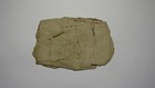 1754 Two Shillings Eight Pence North Carolina Colonial Currency Note Bill Snail