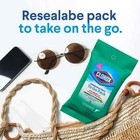 Clorox Wipes  6 Pack Of 9 Wipes  To Go Pack Fresh Scent Total  54 Wipes 