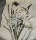   Tri Chem 2644 Iris In Bloom Flower And Butterfly Picture Trichem 18x24 Inch