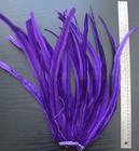 25pcs 16-18  Long Regal Purple Dyed Rooster Coque Tail Feathers For Crafting