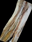 Xl Mind Blowing Red Maple Burl Wood Blank  Ambrosia Maple Curly Maple Craft Wood
