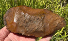 Agatized Coral Hand Tool Florida Arrowhead Artifact Chopping Crusher Head Hunter