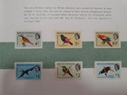 British Honduras Q  Elizabeth Ii   Birds 1962 Collection Harrison   Sons