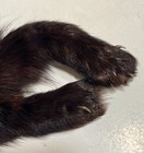 Vintage Mink Fur Parts - 9 Feet  1 Head  4 Tails