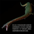 Pnso Dinocephalosaurus Dinosaur Pvc Figure Collectible Animal Toys Limited Model