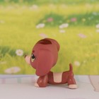 Mini Pet Shop Lps Dachshund Dog Toy Figure For Kid Birthday Collectible Toy Gift