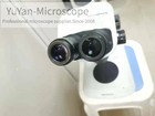 Olympus Trinocular Microscope Sz61 Sz61tr whsz10x-h 22  stand light free Express