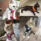 Cat Harness Vest Walking Lead Leash For Puppy Dogs Collar Polyester Adjustable