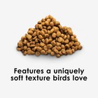 Kaytee Nutri Soft Pet Parrot   Conure Bird Food Seed  3 Pound