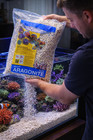 Premium Crushed Coral Aquarium Substrate 10lb