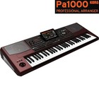 Korg Pa1000 61-key Professional Workstation Arranger Keyboard