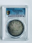 Mexico 1894 Go Rs Cap   Rays 8 Reales Silver Coin Pcgs Au Detail Clean  toning 