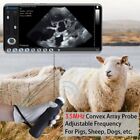 Wireless Ultrasound Machine For Android  Handheld Ultrasound Scanner For Pet
