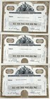 Lot Of 19 Vintage 1950 s Stock Certificates - Studebaker-packard Corp 