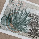          1971 Cinco  5  Mexico Pesos Foreign Banknote Mexican Currency Mar  a Josefa